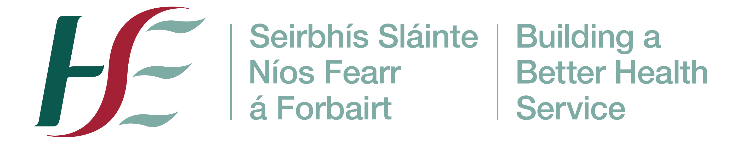 HSE Security Services Provider